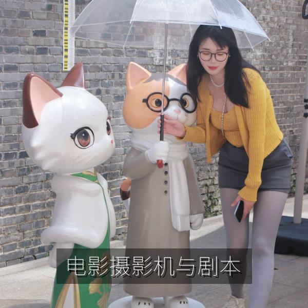 电影摄影机与剧本